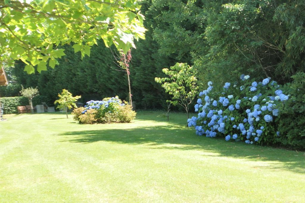 Les Volets Bleus Bed & Breakfast Arcangues Luaran gambar
